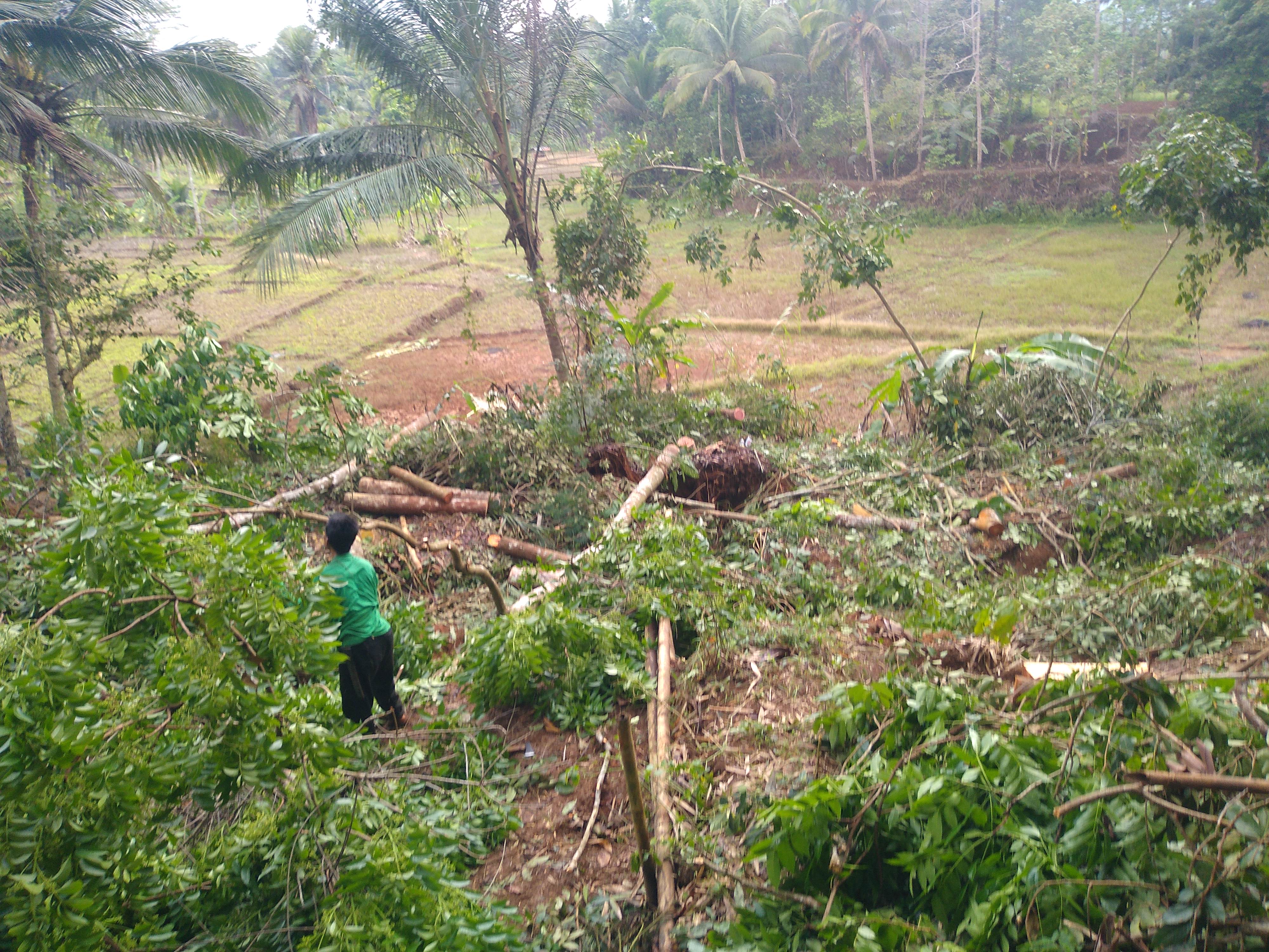 Hujan Tiba bencana melanda